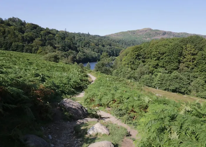 1 Springfort Penrith